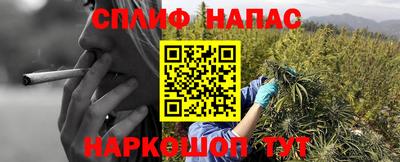 тгк Будённовск