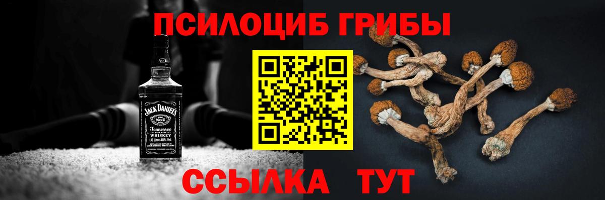 Псилоцибиновые грибы Cubensis Щёкино